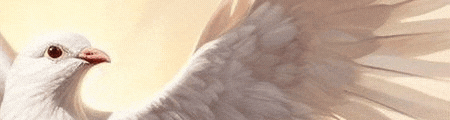 af671a7fe39d7909e026cb22bf344439_1737955935_7179.gif